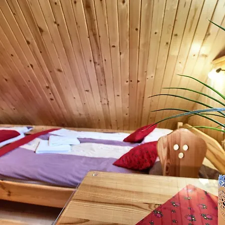 Goscinne Za Wnukiem זקופאנה