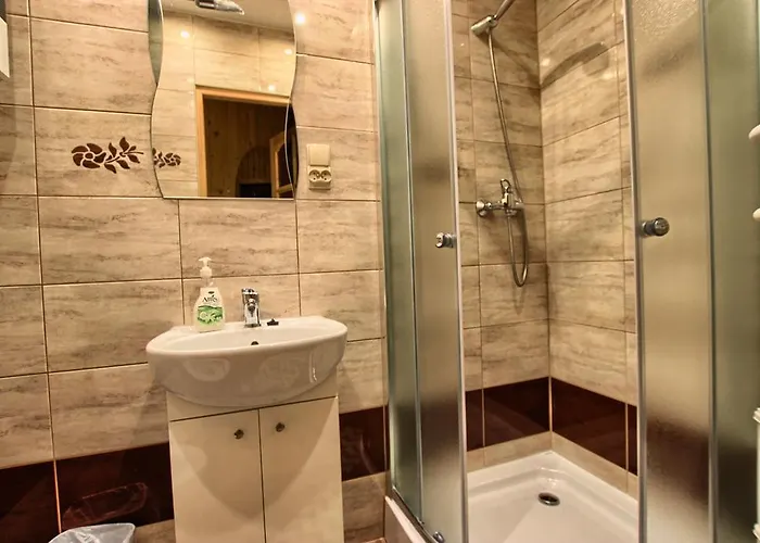 Goscinne Za Wnukiem * Zakopane