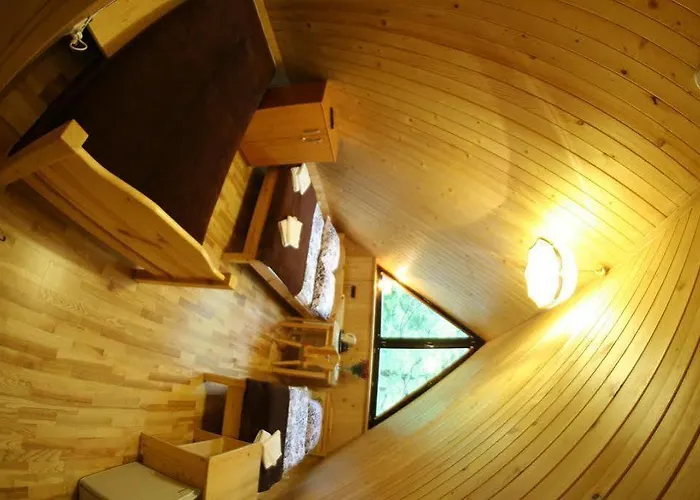 Goscinne Za Wnukiem * Zakopane